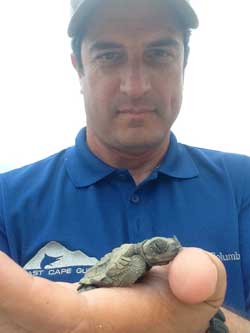 Mark with a juvenile Olive Ridley Sea Turtle